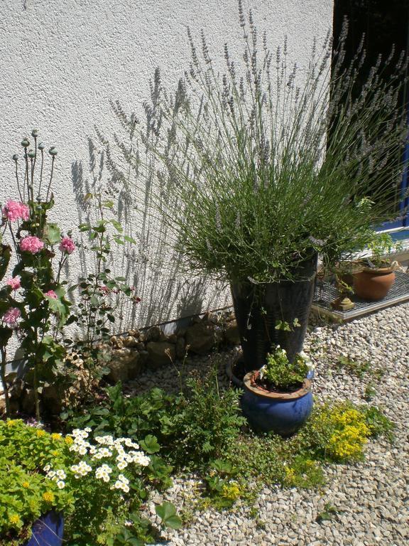 Ferienwohnung Hering In Dill Chambre photo